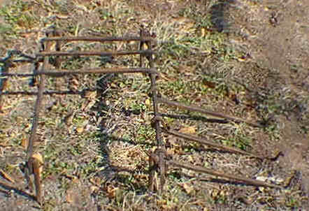 grill2.jpg