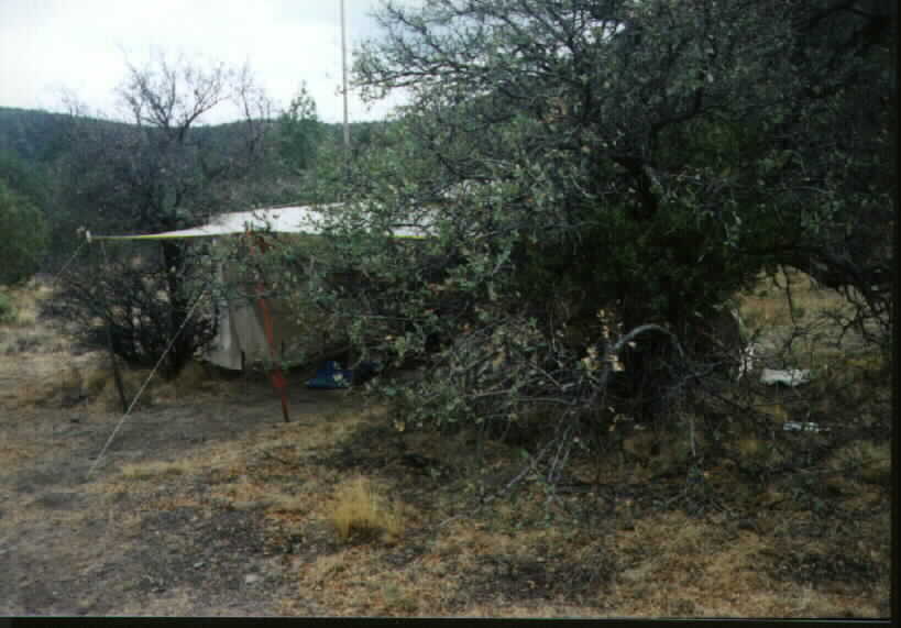 leanto.jpg