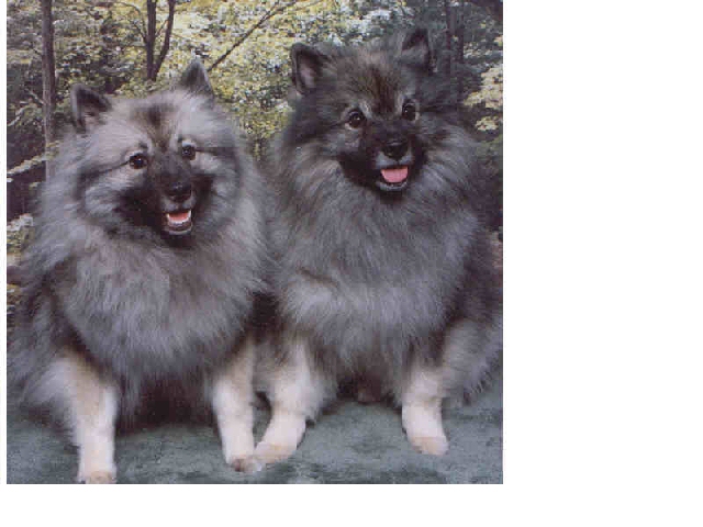 Teaka and Peter